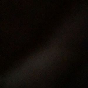 Meet your Posher, Bailey